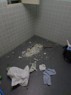 幼児用トイレ 子供用トイレ 子ども用トイレ